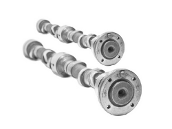 Cam Shaft Bearings